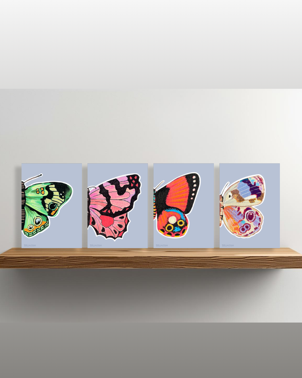 Eunica Amelia Butterfly Greeting Card - 5x7 – Wholesale Pack of 12