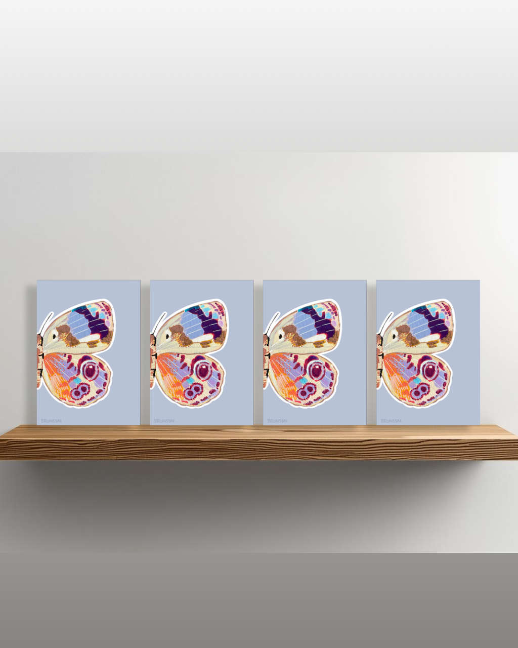 Eunica Amelia Butterfly Greeting Card - 5x7 – Wholesale Pack of 12